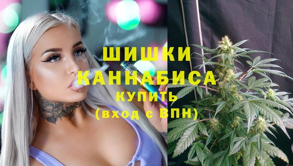 ПСИЛОЦИБИНОВЫЕ ГРИБЫ Балабаново