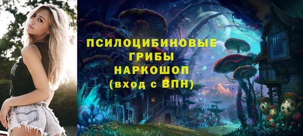 ПСИЛОЦИБИНОВЫЕ ГРИБЫ Балабаново
