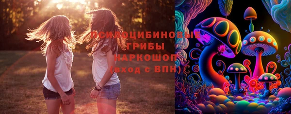 ПСИЛОЦИБИНОВЫЕ ГРИБЫ Балабаново