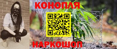 шишки Заволжье