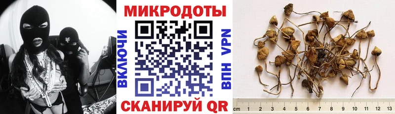 закладка  Нерюнгри  Псилоцибиновые грибы ЛСД 