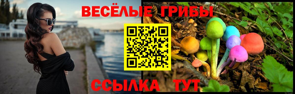 Галлюциногенные грибы прущие грибы Нерюнгри